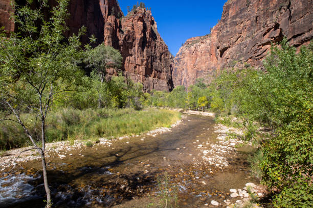 istock Virgin River in Zion Nationalpark 1362595235