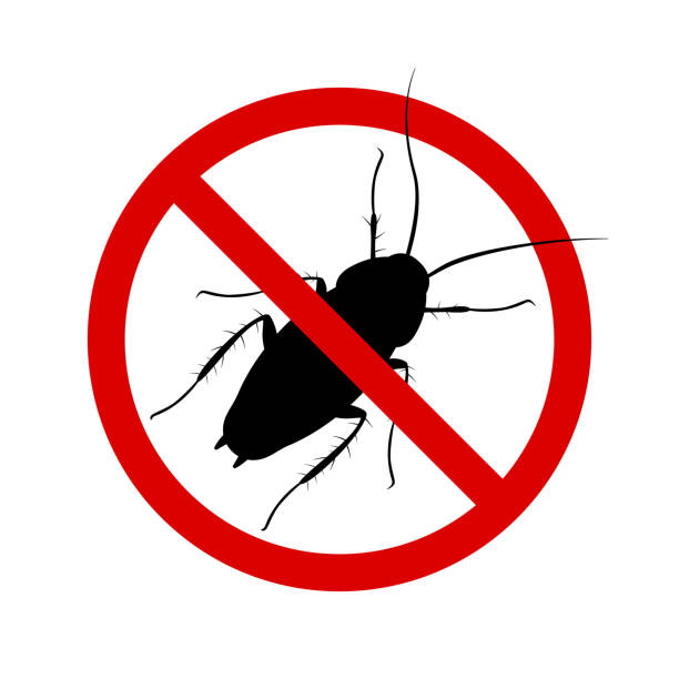 Anti-cockroach icon, pest control, destruction of parasites, stop insect , black contour, isolated, white background Anti-cockroach icon, pest control, destruction of parasites, stop insect , black contour, isolated, white background insecticide stock illustrations
