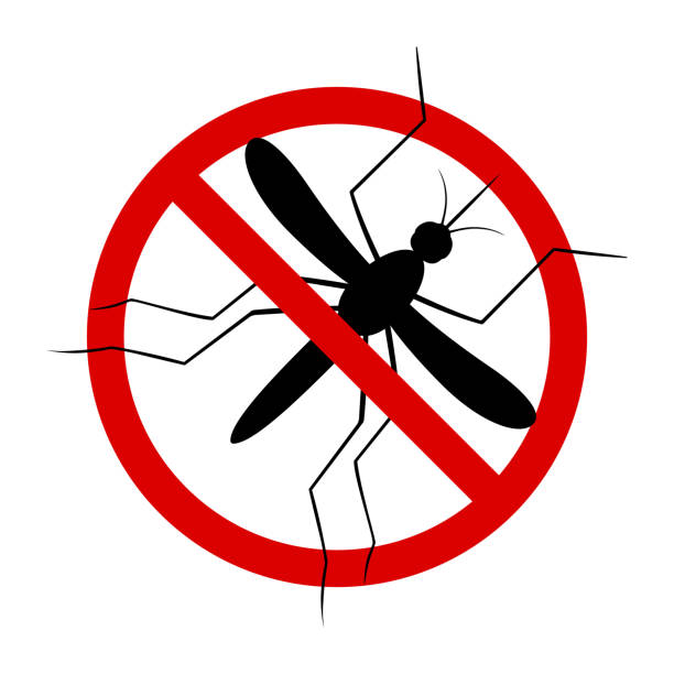 Mosquito. Symbol parasite warning sign. Silhouettes. Anti mosquitoes, insect control vector symbol. Stop and control mosquito, anti insect illustration Mosquito. Symbol parasite warning sign. Silhouettes. Anti mosquitoes, insect control vector symbol. Stop and control mosquito, anti insect illustration midge fly stock illustrations