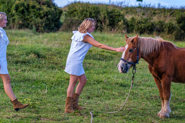 istock Woman stroking a horse on a field 1362596739