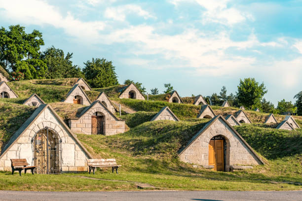 weinkeller in einer reihe in der weinregion tokaj, ungarn - ungarn stock-fotos und bilder