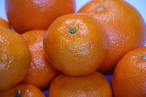 Group of mandarins for bottom