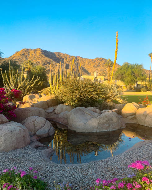 istock Scottsdale, Arizona, landscape 1362600749