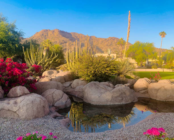 istock Scottsdale, Arizona landscape 1362600755