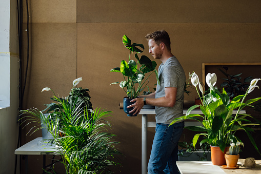 A blonde Caucasian man carrying a potted plant in his indoor garden at home.