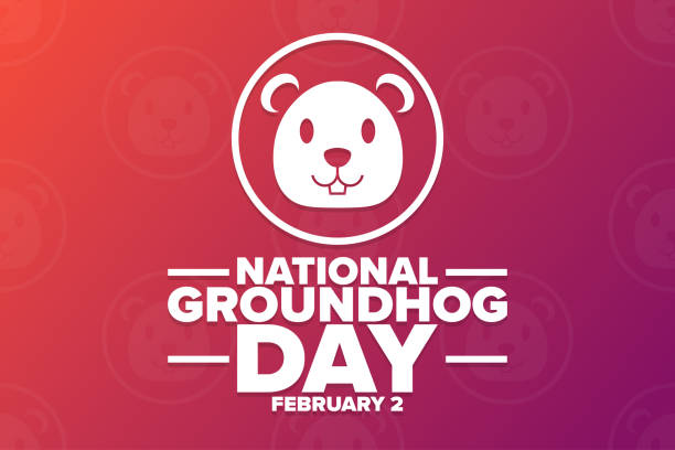 national groundhog day. february 2. holiday concept. template for background, banner, card, poster with text inscription. vector eps10 illustration. - groundhog day stock illustrations
