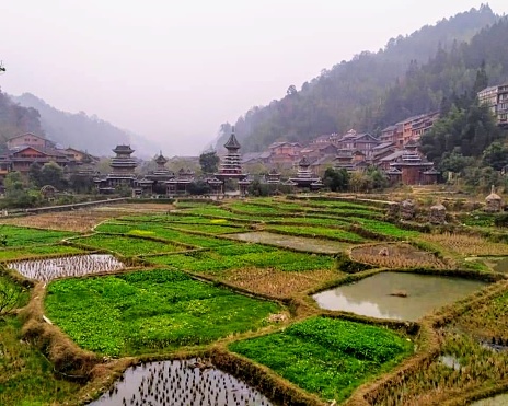 Rice Terraced Field, Longsheng, China