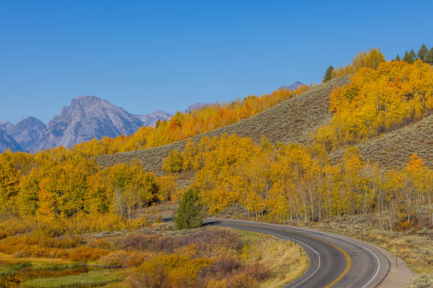 istock Scenic Teton Landscape in Autumn 1362605264
