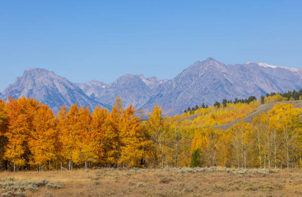 istock Scenic Teton Landscape in Autumn 1362605451