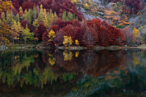 istock Beautiful fall foliage Autumn colors 1362610629