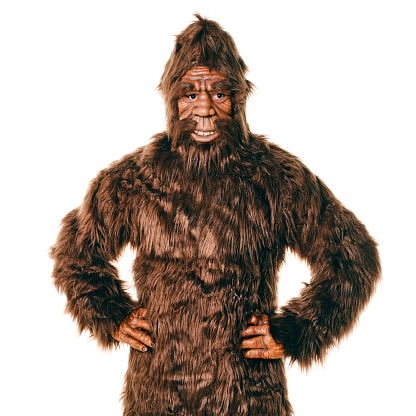 A Sasquatch Bigfoot isolated on a white background.