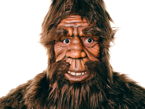 A Sasquatch Bigfoot isolated on a white background.