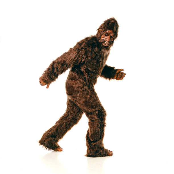 sasquatch bigfoot - hairy animal hair fantasy monster stock-fotos und bilder