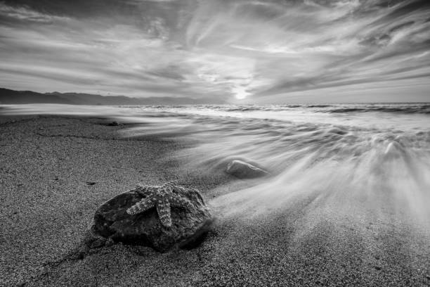 istock Ocean Starfish Beach Wave Sunset Black And White 1362610930