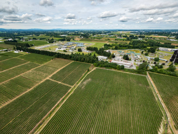 Stock Aerial Photo of Agricultural Farmland Abbotsford BC  , Canada Stock Aerial Photo of Agricultural Farmland Abbotsford BC  , Canada abbotsford canada stock pictures, royalty-free photos & images