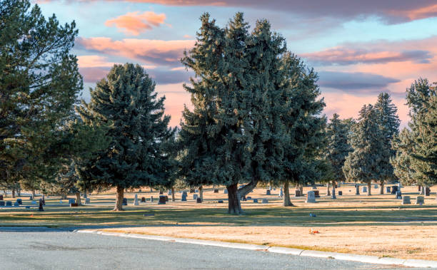 Cemetery with pine trees a nice lawn and a sunset sky in Autumn
