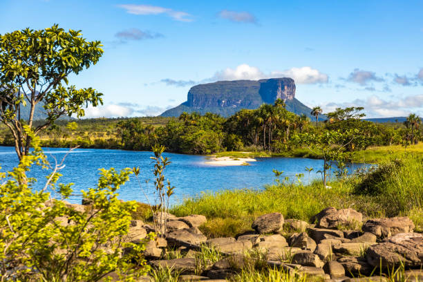 Scenic view of Canaima National Park Mountains and Canyons stock photo