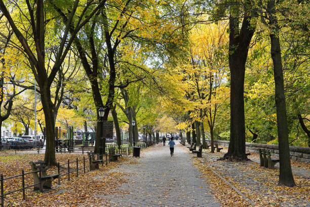 Urban forest in northern Manhattan in Riverside Park along the Hudson River stock photo