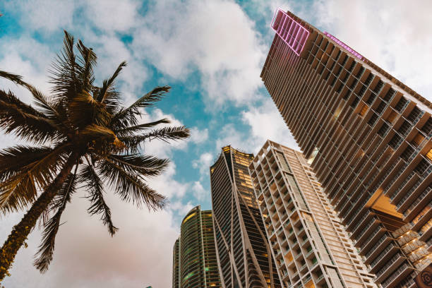 por do sol dramático em miami, florida, em biscayne boulevard - miami - fotografias e filmes do acervo