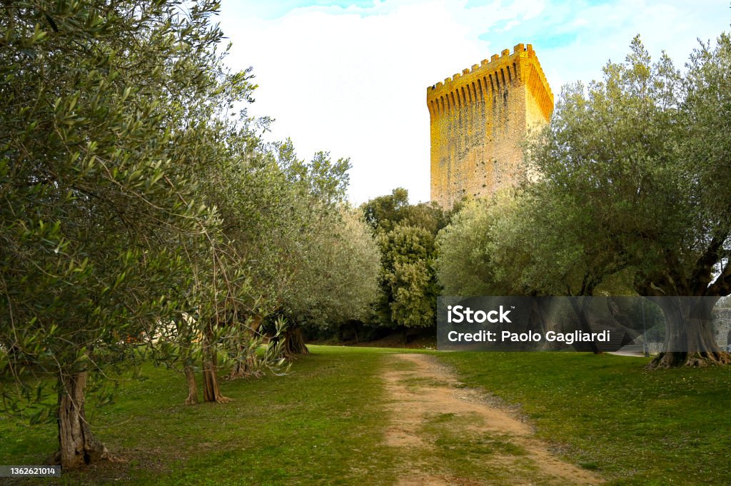 Castiglione del Lago Park with olive trees in Castiglione del Lago Stone Material Stock Photo