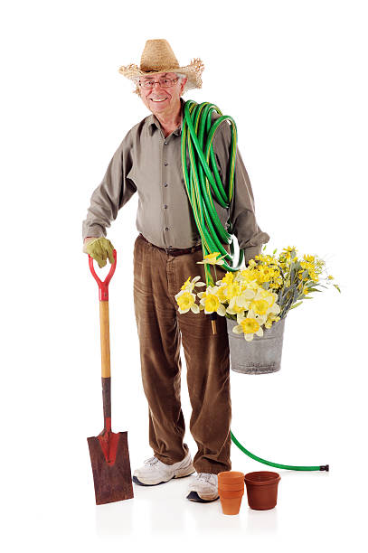istock Happy Senior Gardener 136262990