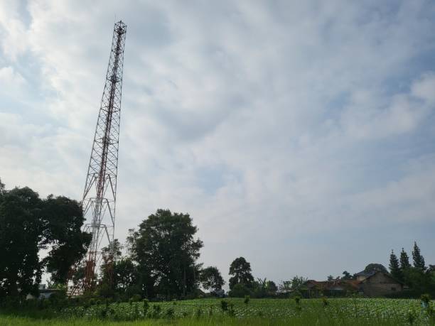 istock A landscape view of green grass 1362632201
