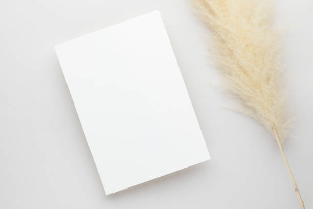 istock White invitation card mockup with a pampas grass on grey background, Minimal grey workplace composition, flat lay, mockup 1362632931