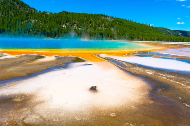 Grand Prismatic Ground level with Grand Prismatic Spring in Yellowstone National Park. midway geyser basin photos stock pictures, royalty-free photos & images