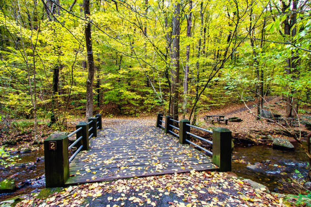 istock The wooden bridge 1362637461
