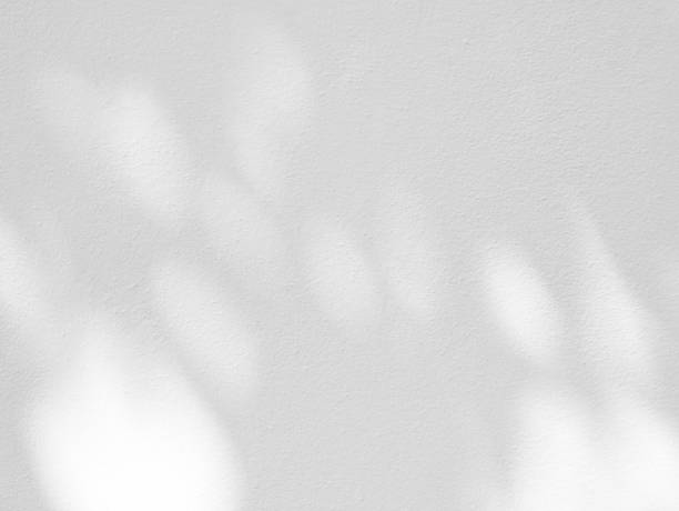 istock Abstract shadow of leaves on a white wall 1362637551