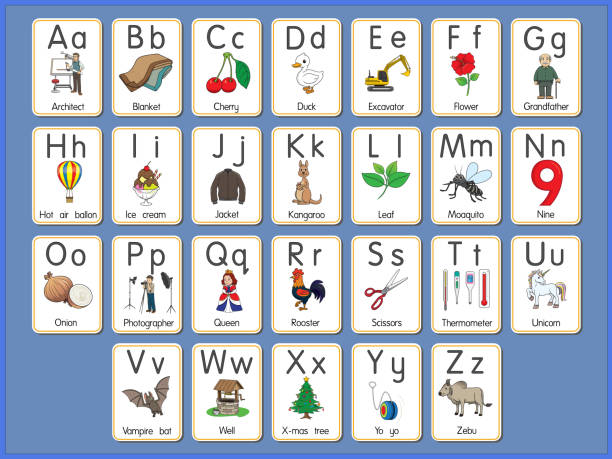 ilustraciones, imágenes clip art, dibujos animados e iconos de stock de ilustración vectorial de la tarjeta flash del alfabeto a-z letras mayúsculas o minúsculas para principiantes abc - letter u with unicorn animal for kids abc education in