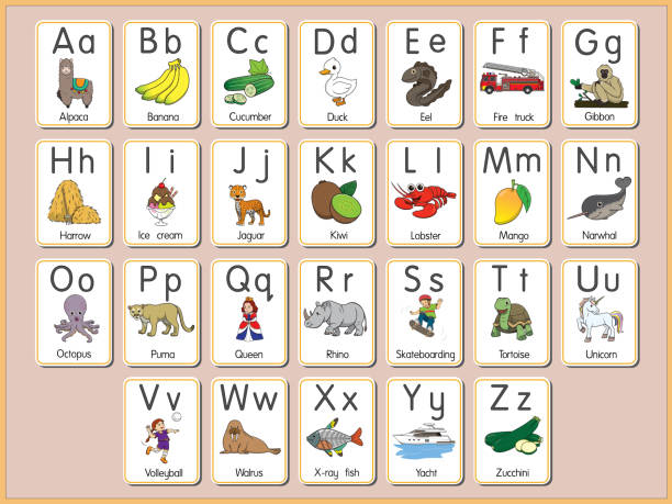 illustrazioni stock, clip art, cartoni animati e icone di tendenza di illustrazione vettoriale della scheda flash alfabeto a-z lettere maiuscole o minuscole per principianti abc - alphabetical order