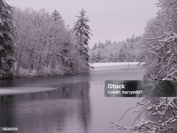 Lago De Inverno - Fotografias de stock e mais imagens de Ao Ar Livre - Ao Ar Livre, Fotografia - Imagem, Frio