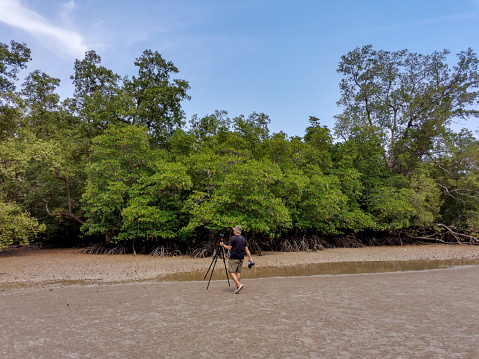 Male asian traveler holding camera and tripod walking to mangrove forest during low tide period; Travel lifestyle adventure concept. Nature photographer in the action. Endau, Malaysia