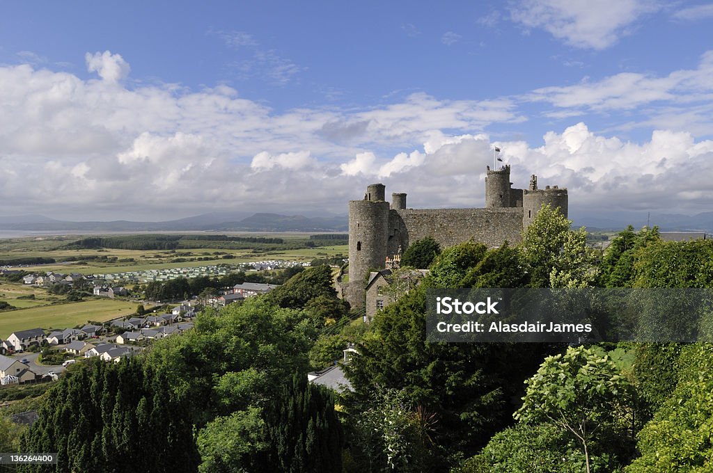 Harlech Zamek - Zbiór zdjęć royalty-free (Caernarfon)