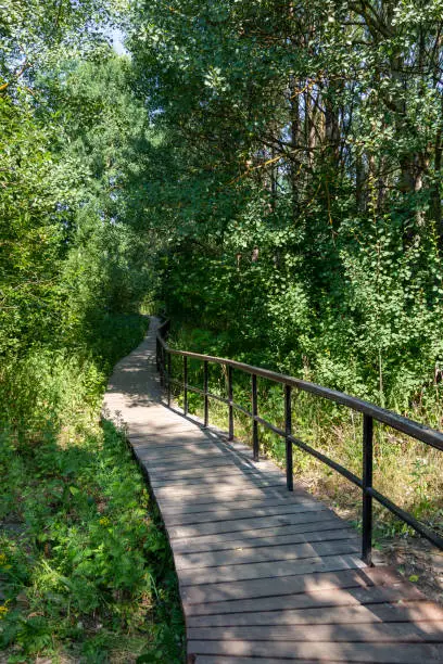 Walking path in the nature reserve West Kotlin near Kronstadt, St. Petersburg