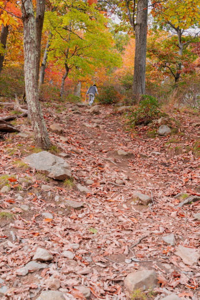 istock Beautiful Autumn View in Bear Mountain State Park 1362650073