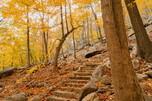 istock Beautiful Autumn View in Bear Mountain State Park 1362650150