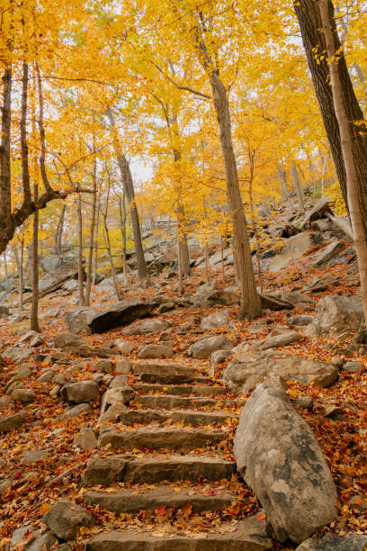 istock Beautiful Autumn View in Bear Mountain State Park 1362650151