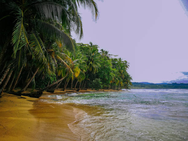 istock Tropical beaches on costa rica 1362658232