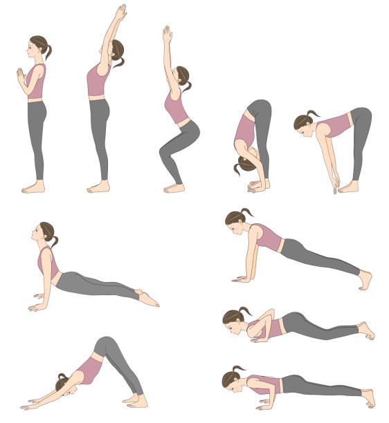 태양 인사 포즈 컬렉션, 요가 여자 - white background yoga exercising women stock illustrations