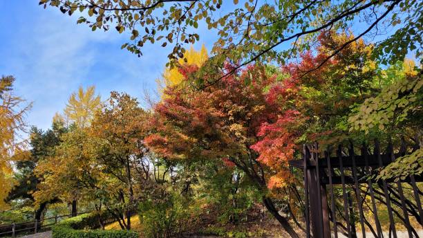 istock Parks of Seoul 1362660737
