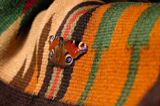 Butterfly peacock eye with a delicate pattern on the opened wings on the old colorful carpet. Wallpaper with autumn colors.