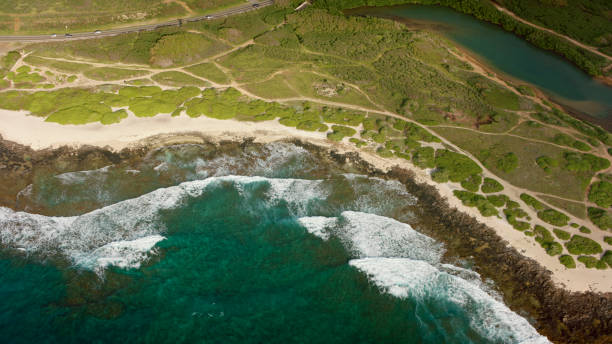 istock Sea waves crashing on coastline 1362667776