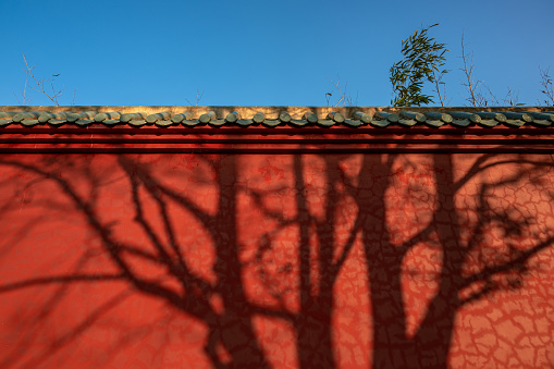 The sun cast the shadow of the tree on the red wall, a temple in good weather.