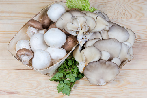 Raw cultivated white and brown champignon mushrooms in small wooden basket, bunch of oyster mushrooms on a wooden rustic table