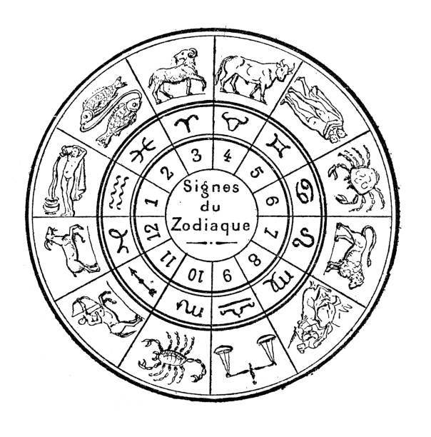 Antique illustration: Zodiac signs vector art illustration