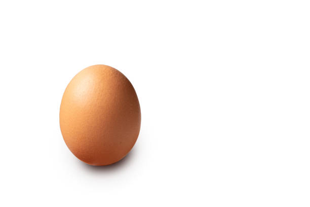 istock Single brown chicken egg isolated on white background cutout 1362682097