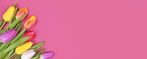 istock Banner with colorful tulip spring flower bouquet 1362683072