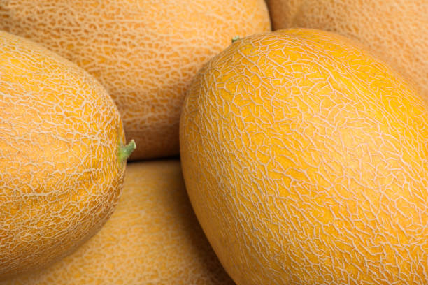 istock Whole tasty ripe melons as background, closeup 1362686200